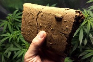 Гашиш, психотропное действие 