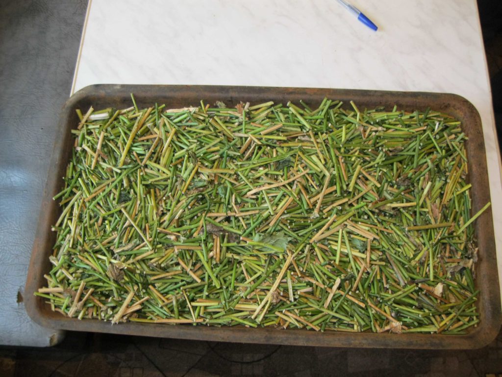 Маковая соломка, наркотик, эффекты воздействия на психику человека